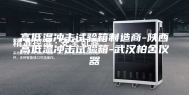 高低温冲击试验箱制造商-陕西高低温冲击试验箱-武汉柏舍仪器