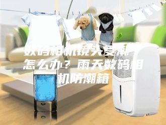 知识百科数码相机镜头受潮了怎么办？雨天数码相机防潮箱