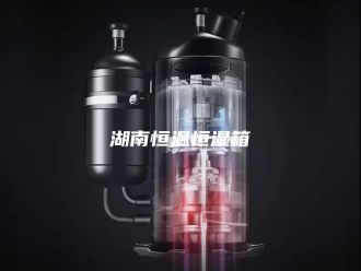 常见问题湖南恒温恒湿箱