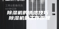 除湿机的清洁技巧 除湿机的工作原理