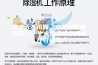 潮湿天不怕潮，立竿见影的方法——十大除湿机品牌推荐好口碑
