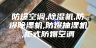 防爆空调,除湿机,防爆除湿机,防爆抽湿机,柜式防爆空调