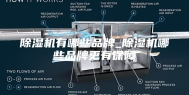 除湿机有哪些品牌_除湿机哪些品牌更有保障