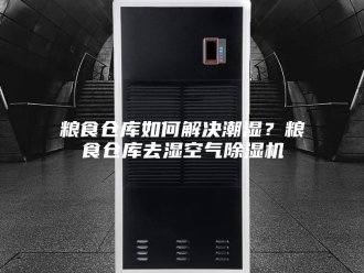 行业新闻粮食仓库如何解决潮湿？粮食仓库去湿空气除湿机