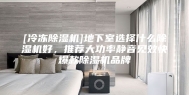 [冷冻除湿机]地下室选择什么除湿机好，推荐大功率静音见效快爆款除湿机品牌