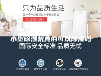 行业新闻小型除湿机真的可以除湿吗