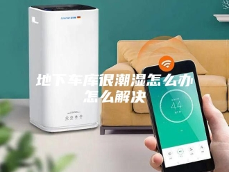 知识百科地下车库很潮湿怎么办怎么解决