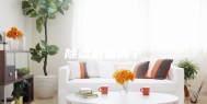 除湿机负离子