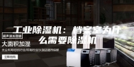 工业除湿机：档案室为什么需要除湿机