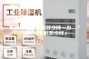 家用除湿机一般多少钱一台 「室内除湿机多少钱」