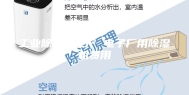 工业除湿机生产 电子厂用除湿机费用