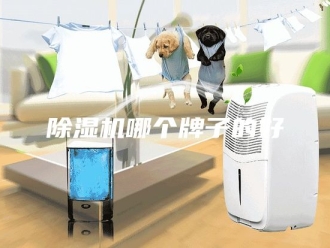 企业新闻除湿机哪个牌子的好