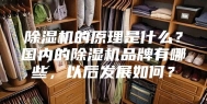 除湿机的原理是什么？国内的除湿机品牌有哪些，以后发展如何？