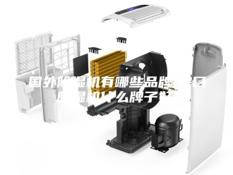 行业新闻国外除湿机有哪些品牌(进口除湿机什么牌子好)