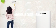 机房除湿加湿一体机