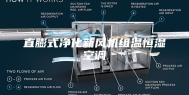 直膨式净化新风机组温恒湿空调