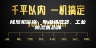 除湿机价格，除湿机安装，工业除湿机品牌