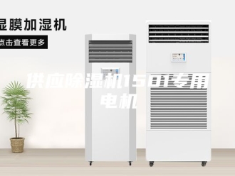 常见问题供应除湿机1501专用电机