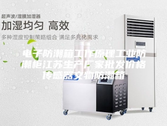 知识百科电子防潮箱工作原理工业防潮柜江苏生产厂家批发价格传感器文物防潮箱
