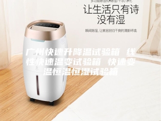 常见问题广州快速升降温试验箱 线性快速温变试验箱 快速变温恒温恒湿试验箱