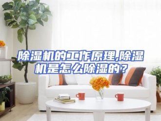 企业新闻除湿机的工作原理,除湿机是怎么除湿的？