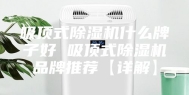 吸顶式除湿机什么牌子好 吸顶式除湿机品牌推荐【详解】