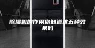 除湿机的作用你知道这五种效果吗