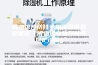 博物馆预防性专用恒温恒湿储藏柜（博物馆文物预防性保护设备）