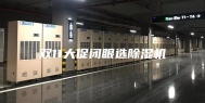 双11大促闭眼选除湿机