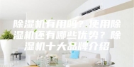 除湿机有用吗？使用除湿机还有哪些优势？除湿机十大品牌介绍