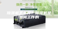 除湿机怎么样？除湿机是如何工作的