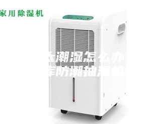 企业新闻仓库太潮湿怎么办？仓库防潮抽湿机
