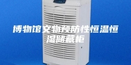 博物馆文物预防性恒温恒湿储藏柜