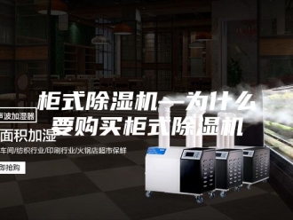 行业新闻柜式除湿机—为什么要购买柜式除湿机