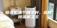 除湿机哪个牌子好，选择除湿机之王