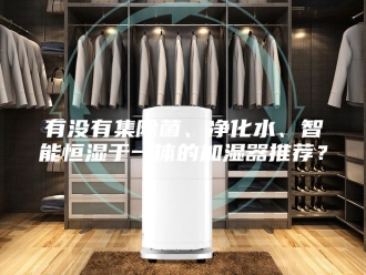 知识百科有没有集除菌、净化水、智能恒湿于一体的加湿器推荐？