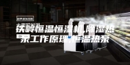 铁岭恒温恒湿机,除湿热泵工作原理,恒温热泵