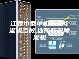 行业新闻江西小型单机转轮除湿机参数,迷你转轮除湿机