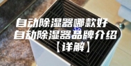 自动除湿器哪款好 自动除湿器品牌介绍【详解】
