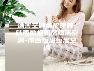 常见问题酒窖空调维护保养-陕西数据机房精密空调-陕西恒温恒湿空调