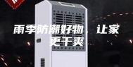 雨季防潮好物，让家更干爽
