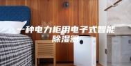 一种电力柜用电子式智能除湿器
