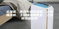 去湿机，家庭专业除湿机，上海抽湿机，上海除湿机批发，上海除湿机价钱