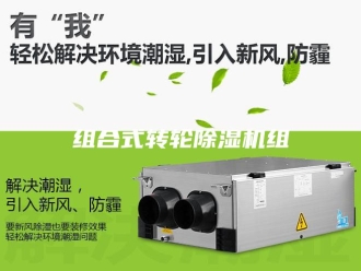 行业新闻组合式转轮除湿机组