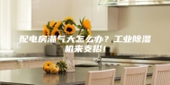 配电房潮气大怎么办？工业除湿机来支招！