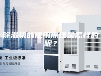 企业新闻除湿机的使用原理是怎样的呢？