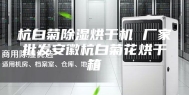 杭白菊除湿烘干机 厂家批发安徽杭白菊花烘干箱