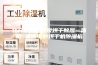 北方型高温热泵烘干除湿一体机 最省电的烘干机除湿机