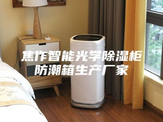 知识百科焦作智能光学除湿柜防潮箱生产厂家