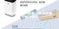 为什么要买除湿机？除湿机哪个牌子好？